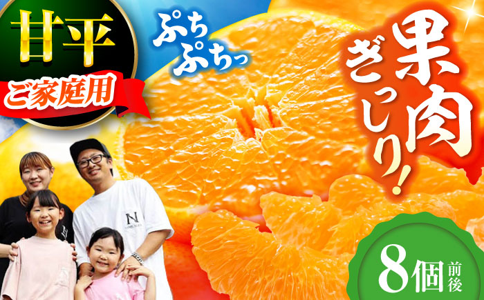 【先行予約】【2026年1月下旬から順次発送】甘平 8個前後【ご家庭用】  愛媛県大洲市/西村農園 みかん ミカン えひめ かんぺい 柑橘 [AGDC004]