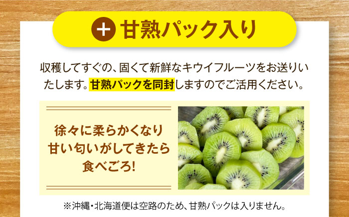【先行予約】【11月上旬から順次発送】キウイフルーツ ヘイワード 大玉(3L〜4L玉) 約150g×16個 フルーツキャップ付き 愛媛県大洲市/西村農園 キウイ 果物 くだもの フルーツ 生産量日本一 [AGDC003]