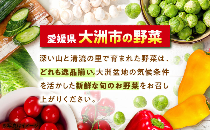 【全6回定期便】【シェフの目線】栽培期間中農薬不使用！大満足 旬のお野菜セット　愛媛県大洲市/有限会社ヒロファミリーフーズ [AGBX004]野菜 サラダ カレー 農業 トマト 料理  きゅうり 鍋 とうもろこし 果物 ミニトマト 農園 新鮮 旬の味 健康 和食 洋食 中華 産地直送 国産 安心安全 JAS認定 有機無農薬 有機栽培 減農薬栽培 有機JAS オーガニック