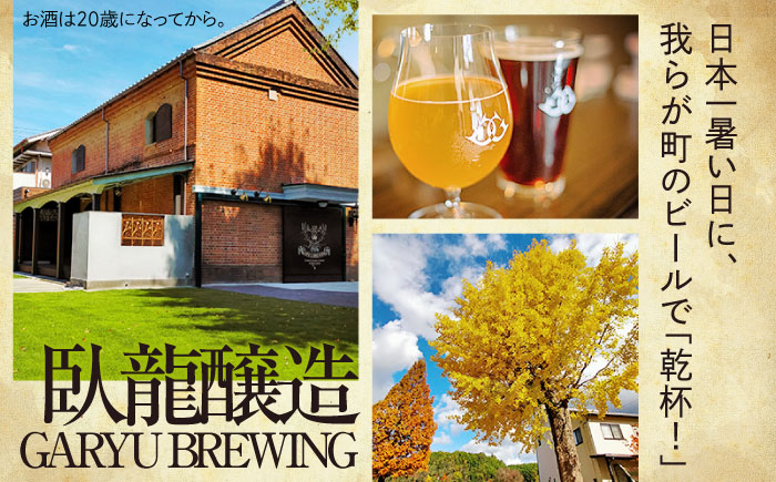 【年末限定】【全12回定期便】産地直送！ご当地ビール！臥龍クラフトビール（臥龍ペールエール）計6本　愛媛県大洲市/株式会社　アライ [AGAY019]