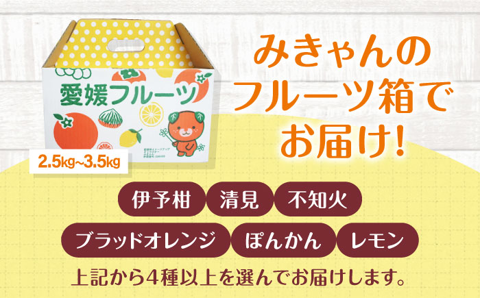 【先行予約】【3月頃発送】柑橘おまかせセット 愛媛県大洲市/沢井青果有限会社 [AGBN053]