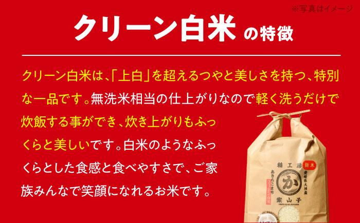 【全3回定期便】【2ヶ月に1回】ふるさと納税限定! 栽培期間中農薬不使用！ 旬のお野菜セット+クリーン白米 愛媛県大洲市/有限会社ヒロファミリーフーズ [AGBX040]