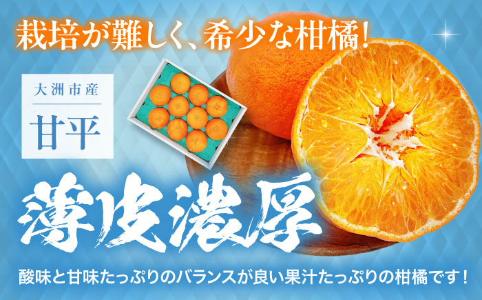 愛媛オリジナル柑橘！大玉「秀品 甘平」 3L~5L 約2.5kg 7から10個　愛媛県大洲市/株式会社フジ・アグリフーズ [AGBA006]みかん オレンジ フルーツ ミカン 果物 かき氷 みかんジュース 愛媛みかん こたつ みきゃん スムージー デザート おやつ ヨーグルト