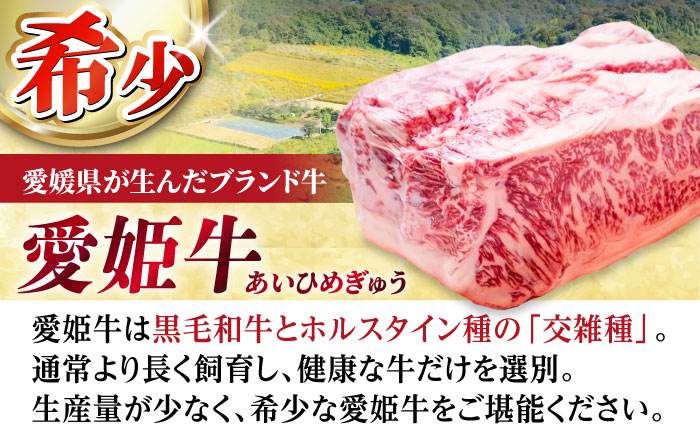 【全6回定期便】「愛姫牛」店主におまかせ旬セット【松】800g（4人前）愛媛県大洲市/有限会社 木村屋精肉店 焼肉 焼き肉 すきやき すき焼き しゃぶしゃぶ ステーキ 赤身 牛肉 冷凍 冷凍肉 お肉 [AGCC062]