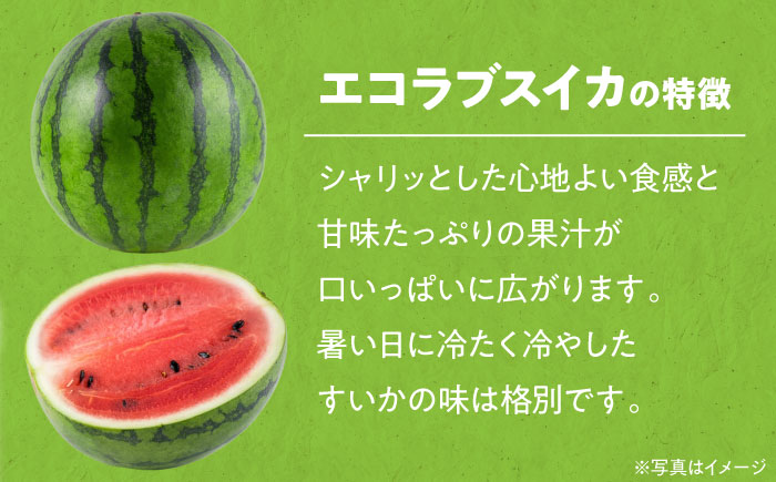 愛情つまったエコラブスイカ（L〜2Lサイズ）2玉　愛媛県大洲市/沢井青果有限会社 [AGBN010]スイカ 夏 すいか 西瓜 かき氷 スイカジュース 甘い フルーツ 果物 フルーツポンチ デザート