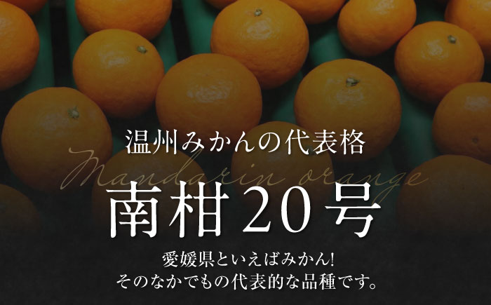 【先行予約】【12月上旬から順次発送】【期間・数量限定】愛媛みかん 南柑20号 赤秀10kg箱（100玉〜160玉） 果物 フルーツ みかん ミカン 愛媛みかん 愛媛県大洲市/愛媛たいき農業協同組合[AGAO007]