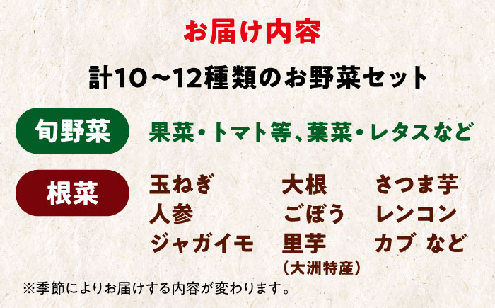 【シェフの目線】あったら嬉しい根菜セット×おまかせ旬野菜　愛媛県大洲市/有限会社ヒロファミリーフーズ [AGBX012]野菜 サラダ カレー 農業 トマト 料理  大根 鍋 にんじん 果物 芋 さといも じゃがいも さつまいも 農園 新鮮 旬の味 健康 和食 洋食 中華 産地直送 国産 安心安全