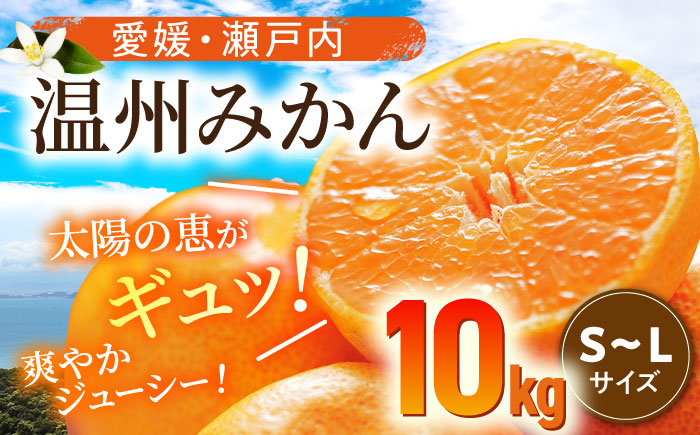 [先行予約]11月中旬より順次発送]瀬戸内のめぐみたっぷり!温州みかん(S~Lサイズ)10kg 愛媛県大洲市/沢井青果有限会社 [AGBN016]みかん オレンジ フルーツ ミカン 果物 愛媛みかん みきゃん スムージー デザート おやつ ヨーグルト 調味料 ドレッシング 隠し味 料理