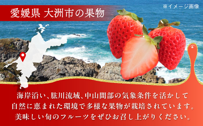 【先行予約】【2025年1月初旬より順次発送】ほっぺが落ちるおいしさ！大粒の紅ほっぺ約270ｇ×４パック（約1000ｇ）愛媛県大洲市/沢井青果有限会社 [AGBN026]