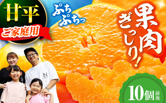 【先行予約】【2026年2月中旬から順次発送】甘平 10個前後【ご家庭用】  愛媛県大洲市/西村農園 みかん ミカン えひめ かんぺい 柑橘 [AGDC004]