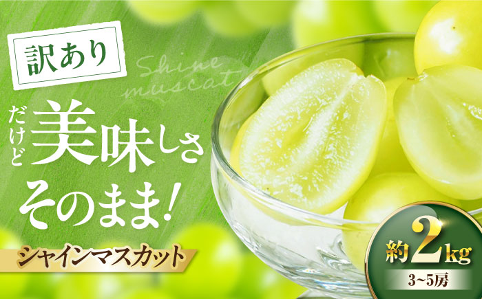 【先行予約】【9月中旬より順次発送】 訳あり シャインマスカット 約2kg（3～5房）シャインマスカット ブドウ 葡萄 果物 フルーツ 愛媛県大洲市/沢井青果有限会社 訳アリ ワケあり わけあり 不揃い [AGBN056]