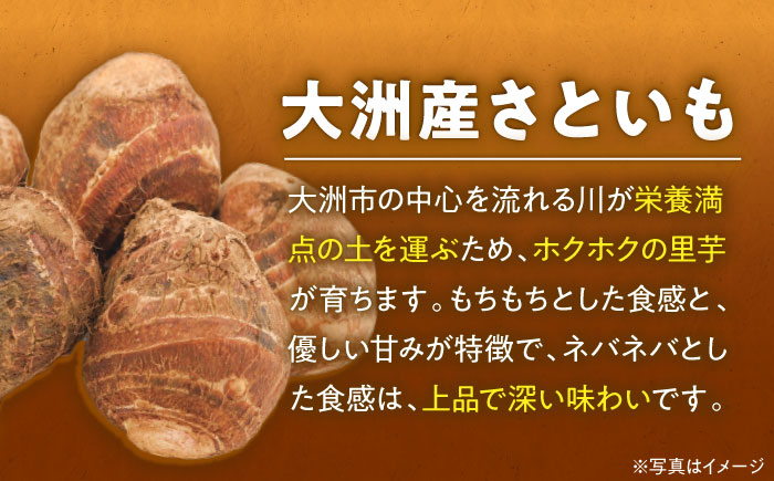 【先行予約】【9月上旬より順次発送】自然の恵みと伝統が育んだ！大洲産トロトロさといも（L〜2Lサイズ）4kg　愛媛県大洲市/沢井青果有限会社 [AGBN003]里芋 和食 朝ごはん 里芋の煮っころがし 里芋の煮物 里芋コロッケ 味噌汁 畑 野菜 新鮮