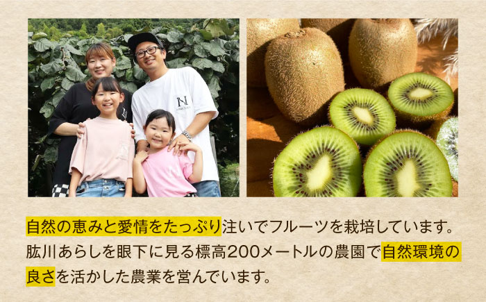 【先行予約】【11月上旬から順次発送】キウイフルーツ ヘイワード 大玉(3L〜4L玉) 約150g×16個 フルーツキャップ付き 愛媛県大洲市/西村農園 キウイ 果物 くだもの フルーツ 生産量日本一 [AGDC003]