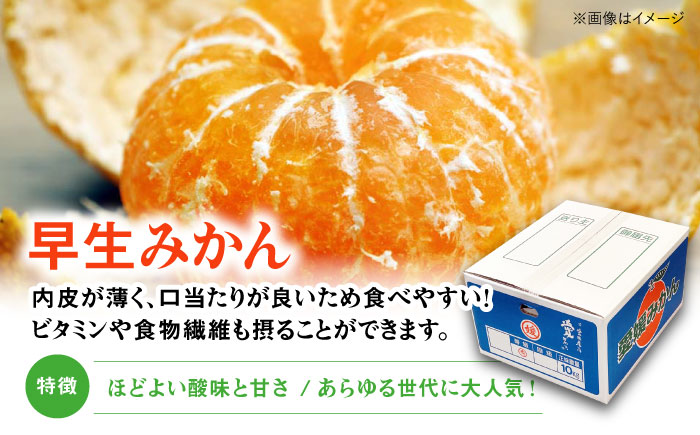 【贈答用】 早生みかん 10kg　愛媛県大洲市/有限会社西山青果 早生みかん 温州みかん みかん 果物 ギフト フルーツ [AGAR009] お正月 クリスマス