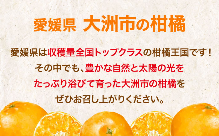 愛媛県産　せとか　2.5kg 愛媛県大洲市/株式会社フジ・アグリフーズ　柑橘 みかん せとか 果物 フルーツ [AGBA019]