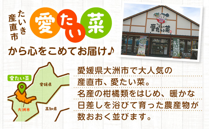 【全12回定期便】産地直送！鮮度抜群！旬を味わう新鮮野菜と果物の詰め合わせセレクションボックス（6種以上）　愛媛県大洲市/たいき産直市愛たい菜 [AGAP017]