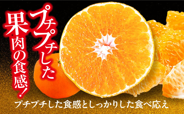 いちご・甘平 春を呼ぶ♪定期便【先行予約】【全2回定期便】 いちご(紅ほっぺ)24粒・甘平2.5kg(Lから4Lサイズ混合) | 先行予約 フルーツ定期便 果物定期便 みかん ミカン かんぺい 甘平 いちご 苺 果物 くだもの フルーツ 愛媛県産 大洲市産 産地直送 おすすめ 人気 お取り寄せ 送料無料 愛媛県大洲市/有限会社西山青果 [AGAR020]