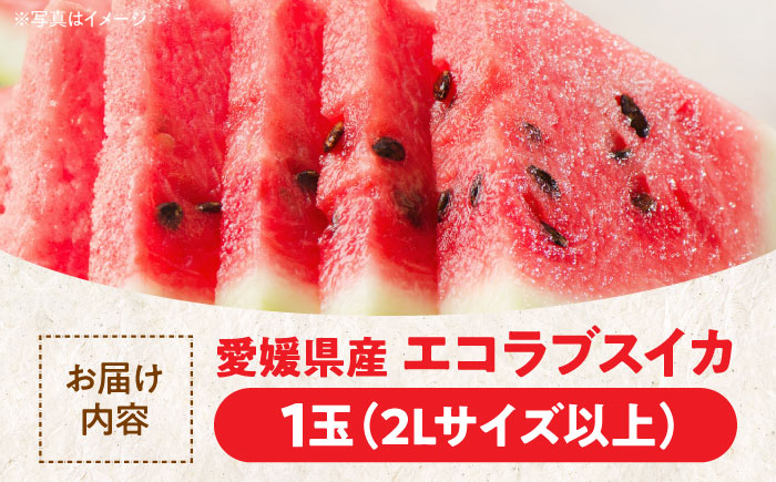 【先行予約】【6月上旬から順次配送】愛情つまったエコラブスイカ（2Lサイズ以上）1玉　愛媛県大洲市/沢井青果有限会社野菜 [AGBN009]スイカ 夏 すいか 西瓜 かき氷 スイカジュース 甘い フルーツ 果物 フルーツポンチ デザート