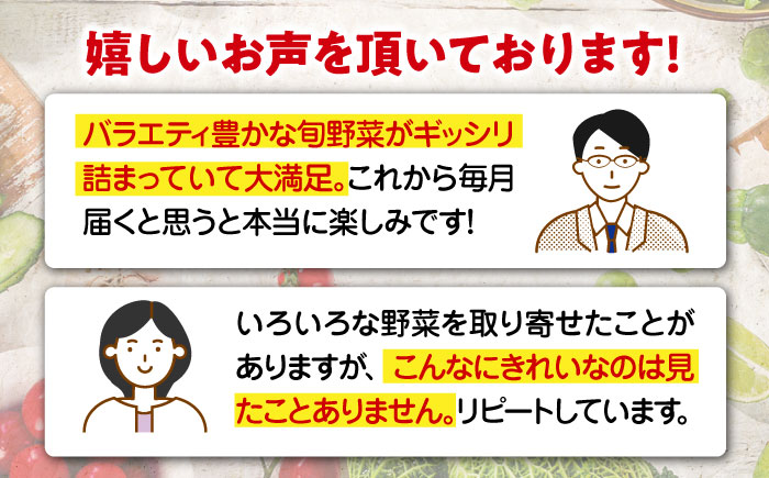 【シェフの目線】栽培期間中農薬不使用！大満足 旬のお野菜セット　愛媛県大洲市/有限会社ヒロファミリーフーズ[AGBX003]野菜 サラダ カレー 農業 トマト 料理  きゅうり 鍋 とうもろこし 果物 ミニトマト 農園 新鮮 旬の味 健康 和食 洋食 中華 産地直送 国産 安心安全 JAS認定 有機無農薬 有機栽培 減農薬栽培 有機JAS オーガニック