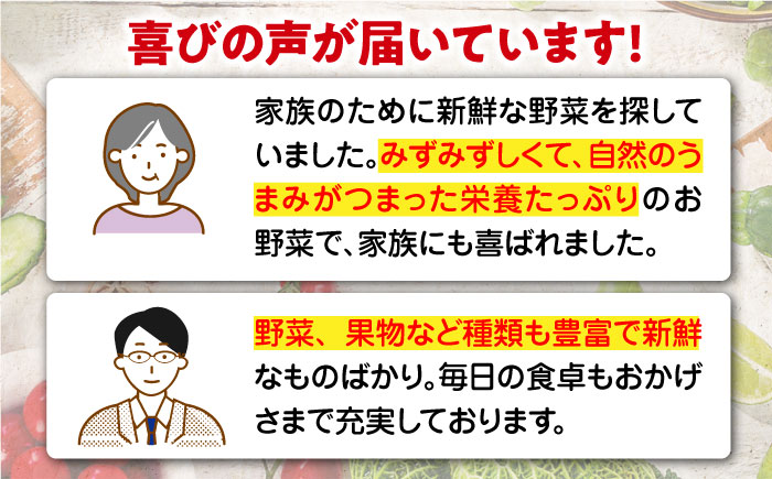 【全6回定期便】【シェフの目線】栽培期間中農薬不使用！旬のお野菜セット×もぎたてフルーツセット　愛媛県大洲市/有限会社ヒロファミリーフーズ [AGBX007]野菜 サラダ カレー トマト 料理  きゅうり 鍋 とうもろこし 果物 ミニトマト  健康 和食 洋食 中華 産地直送 国産 安心安全 JAS認定 有機無農薬 有機栽培 減農薬栽培 有機JAS オーガニック