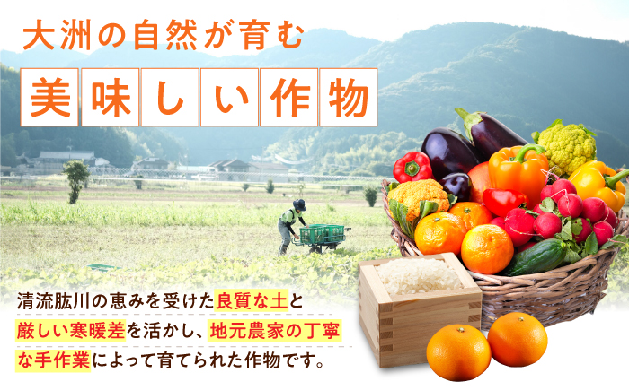 【全6回定期便】生産者の顔が見えるから安心して食べられる！毎回ちがう旬の農産物定期便　愛媛県大洲市/大洲市青年農業者協議会 [AGBL001]サラダ カレー 料理 収穫 ダイエット ヘルシー ブロッコリー きゅうり キャベツ 鍋 健康 とうもろこし 果物 和食 スープ