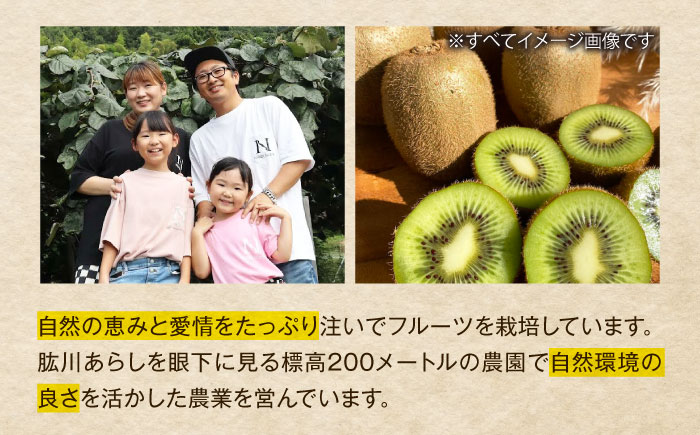 【先行予約】【11月上旬から順次発送】【ご家庭用】キウイフルーツ ヘイワード 18個 甘熟パック入り 愛媛県大洲市/西村農園 キウイ 果物 くだもの フルーツ 訳アリ [AGDC007]