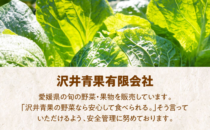 エコラブ白菜 約10kg（1箱）　愛媛県大洲市/沢井青果有限会社　白菜 野菜 生野菜 鍋もの野菜 サラダ野菜 [AGBN049]