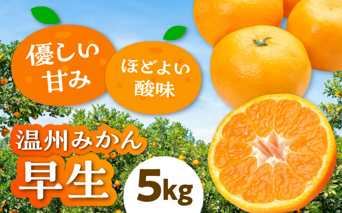 [先行予約][11月上旬から順次発送]本場ならではの品質!柑橘王国愛媛産 早生 約5kg 愛媛県大洲市/有限会社カーム/カームシトラス [AGBW004]みかん オレンジ フルーツ ミカン 果物 愛媛みかん みきゃん スムージー デザート おやつ ヨーグルト 調味料 ドレッシング 隠し味 料理