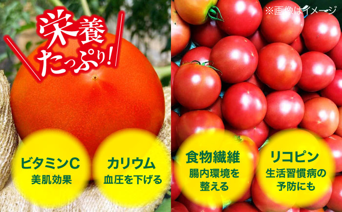 【先行予約】【4月中旬から順次発送】トマト 桃太郎ネクスト 24〜28個入り（約3.5kg〜4kg） 愛媛県大洲市/にのみや農園 トマト とまと tomato 野菜 旬野菜 春夏野菜 [AGDG007]