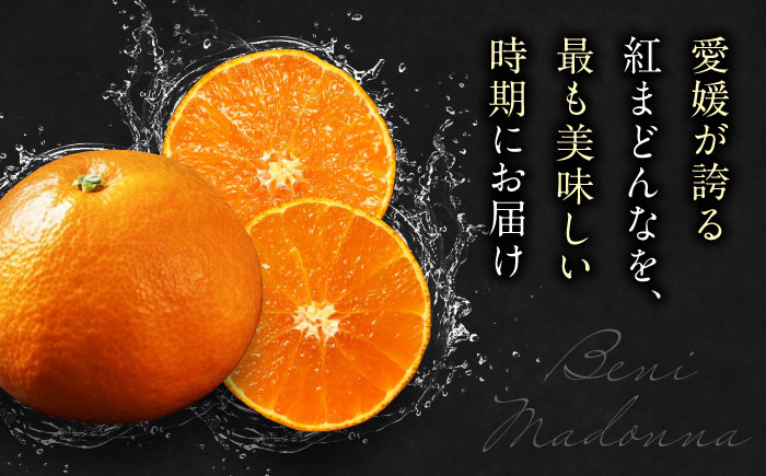 【先行予約】【11月下旬から順次発送】【期間・数量限定】愛媛限定栽培！ 紅まどんな Lサイズ 約3kg（15玉入）化粧箱入 果物 フルーツ みかん ミカン まどんな 愛媛県大洲市/愛媛たいき農業協同組合[AGAO006]