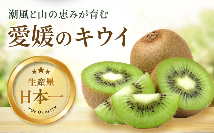 【先行予約】【11月上旬から順次発送】【ご家庭用】キウイフルーツ ヘイワード 18個 甘熟パック入り 愛媛県大洲市/西村農園 キウイ 果物 くだもの フルーツ 訳アリ [AGDC007]