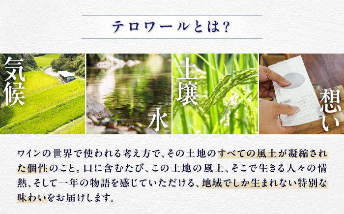 【1月中旬より順次発送】TERROIR LAB 大洲・神南乃酒(かんなんのさけ) 375ml×1本 愛媛県大洲市/酒乃さわだ 大洲 日本酒 清酒 地酒 [AGDU001]