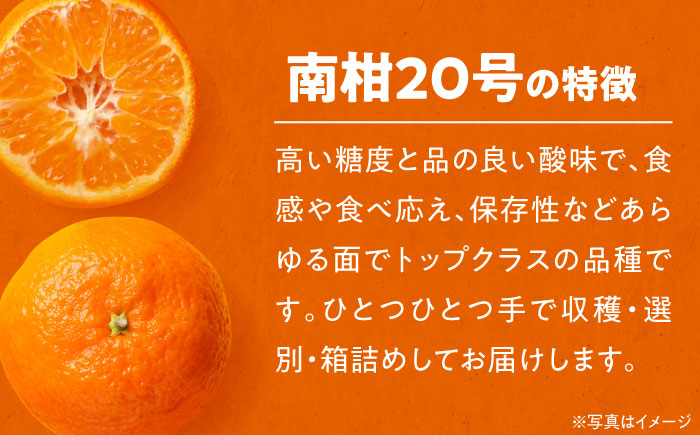 【先行予約】【12月中旬から順次発送】【ちょっと訳あり】温州みかん 愛媛県産 南柑20号 10kg 温州みかん みかん 柑橘 愛媛みかん　愛媛県大洲市/有限会社カーム/カームシトラス [AGBW009]