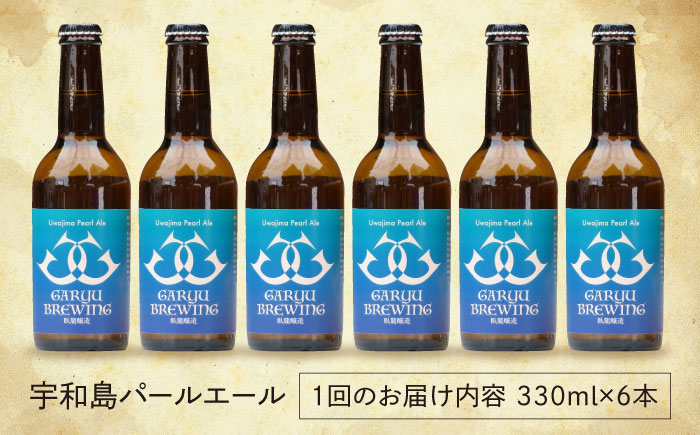 【年末限定】【全12回定期便】産地直送！ご当地ビール！臥龍クラフトビール（宇和島パールエール）計6本　愛媛県大洲市/株式会社　アライ [AGAY031]