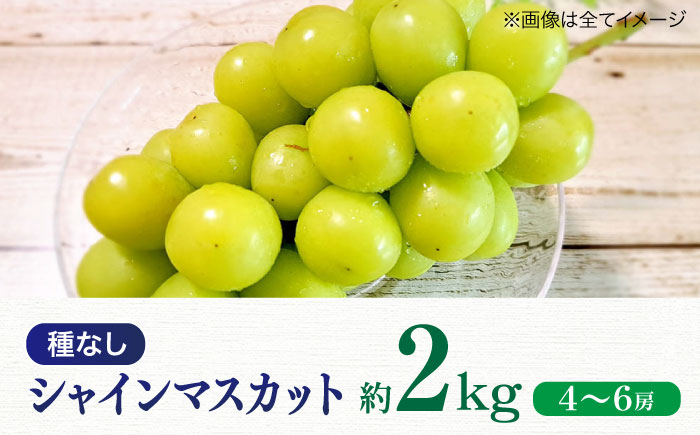 【先行予約】【2025年8月中旬から順次発送】シャインマスカット2kg（4から6房）愛媛県大洲市/有限会社ふじブドウ園 果物 くだもの フルーツ 葡萄 ぶどう マスカット [AGDB002]