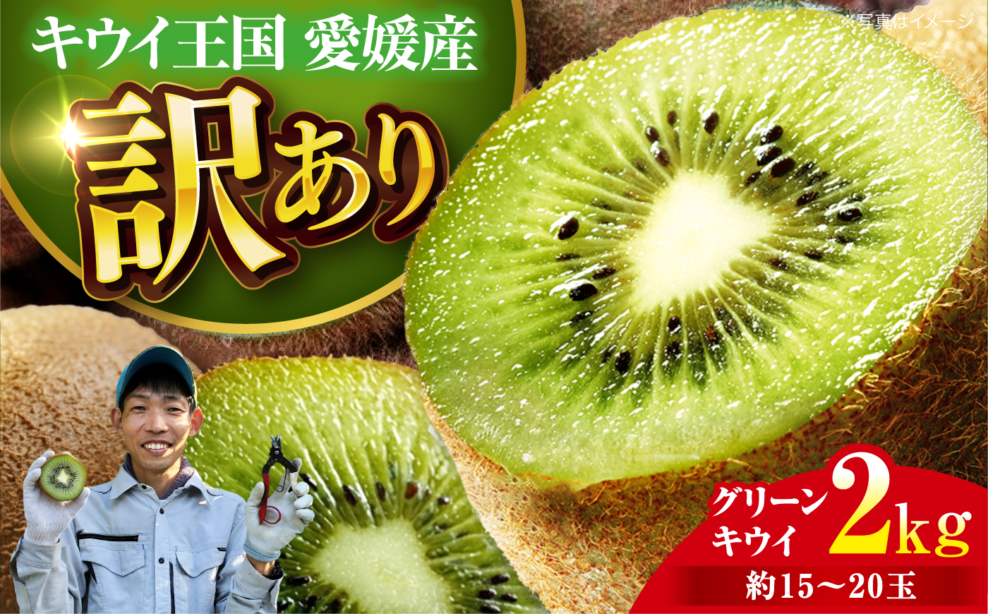 【先行予約】【2026年11月中旬から順次発送】【訳あり】栄養たっぷり！愛媛のグリーンキウイ 2kg （約15玉から20玉） グリーンキウイ キウイ キウイフルーツ フルーツ ヘイワード 果物 くだもの 愛媛県大洲市/玉川農園 [AGBC011]