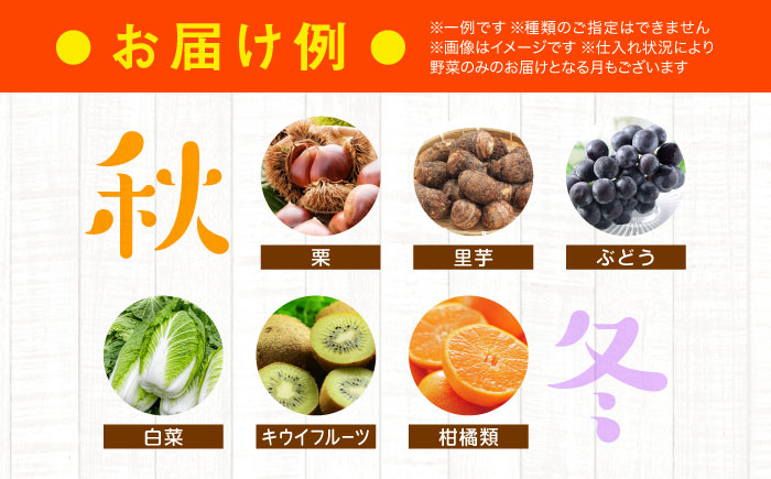 【全12回定期便】産地直送！鮮度抜群！旬の産直市お任せセット（8種以上）　愛媛県大洲市/たいき産直市愛たい菜 [AGAP011]野菜 サラダ トマト 料理 夏野菜 ダイエット ヘルシー 新鮮 きゅうり 野菜料理 キャベツ とうもろこし 和食 大根 ミニトマト