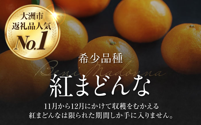  紅まどんな 4L〜2L玉サイズ 約3kg（8玉〜12玉入）【先行予約】【11月下旬から順次発送】化粧箱入 果物 フルーツ みかん ミカン まどんな 愛媛県大洲市/愛媛たいき農業協同組合[AGAO008]