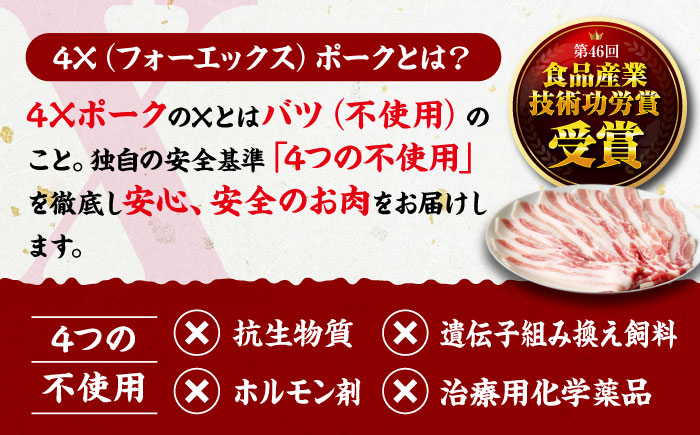 【全12回定期便】【冷凍】【4Xポーク】 豚肉 ポークスライスセット 620g （ロース150g、バラ170g、もも300ｇ） 豚肉 スライス 小分け 肉 ぶたにく 愛媛県大洲市/株式会社SL Creations [AGCY012] お正月 クリスマス