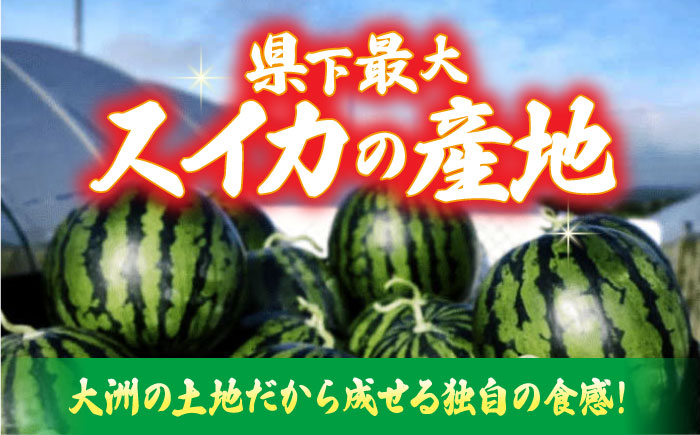 【先行予約】【6月上旬から順次発送】 スイカ【祭りばやし】 3L×2玉 すいか 西瓜 フルーツ 果物 くだもの 愛媛県大洲市/ふじた農園 [AGDH003]