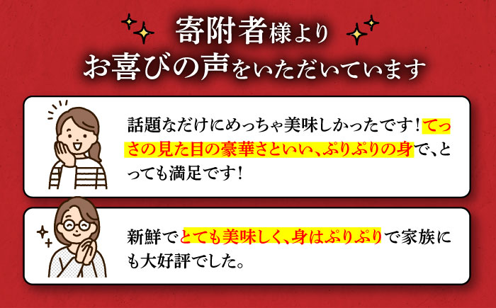 【9月上旬から順次発送】メディアで話題！瀬戸内のトラフグを堪能できる！天然トラフグうすづくりセット　愛媛県大洲市/天然活魚　濱　屋 [AGBP001]河豚 ふぐ ヒレ酒 てっちり鍋ひれ酒 フグ刺し 唐揚げ ふぐ刺し 料理 白子 コラーゲン 鍋 魚介類 海鮮 新鮮 お刺身