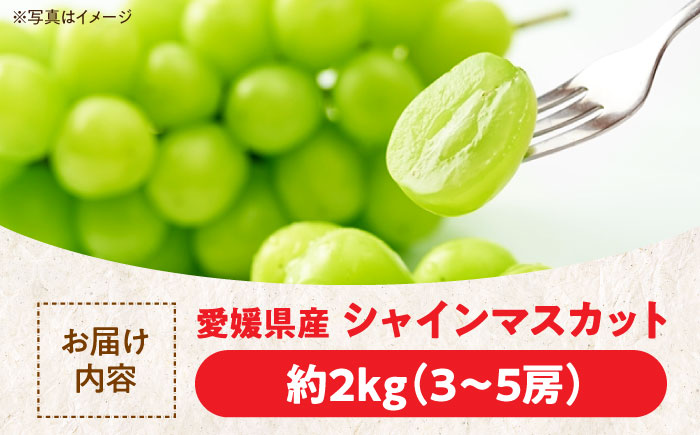 【先行予約】【9月初旬より順次発送】ジュワッと果汁が溢れ出る、家族みんなが笑顔になる。ご家庭用シャインマスカット約2kg（3〜5房）　愛媛県大洲市/沢井青果有限会社 [AGBN006]ぶどう 葡萄 フルーツ 巨峰 タルト 手作りケーキ 果物 スイーツ 甘い デザート 料理 ヨーグルト スムージー