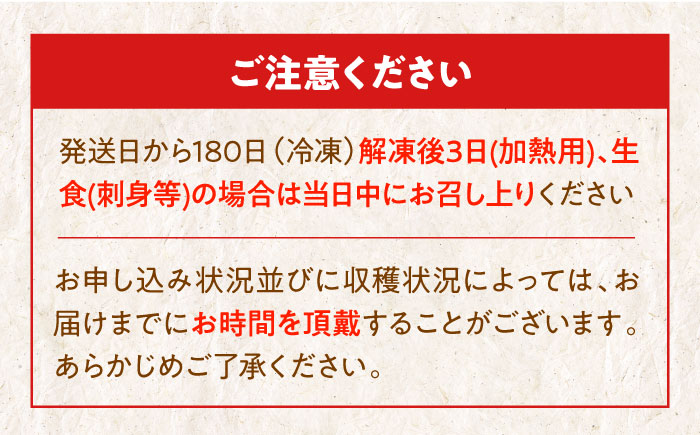 【冷凍】国内最高級 養殖真鯛 『愛鯛』1尾（3枚卸済 フィレ2枚 お頭付き） タイ たい 刺身 冷凍 さしみ 刺し身 愛媛県大洲市/愛媛県漁業協同組合 [AGDA001]