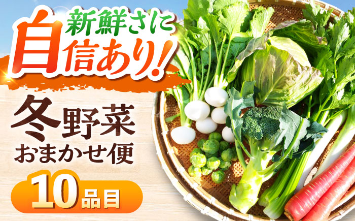 寒い冬の温かな料理に！かとう旬菜畑から直送 冬野菜おまかせ便10種 冬野菜 旬 新鮮 鍋 おうちごはん 愛媛県大洲市/かとう旬菜畑 [AGCW001]