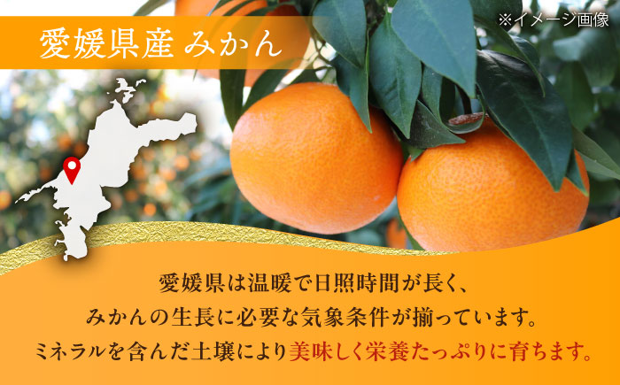 【先行予約】【2025年2月上旬から順次発送】【期間・数量限定】愛媛限定栽培！ 甘平（かんぺい）2L〜3L玉サイズ 約3kg箱入（10玉〜12玉）甘平 みかん 愛媛みかん 柑橘 愛媛県大洲市/愛媛たいき農業協同組合[AGAO010]