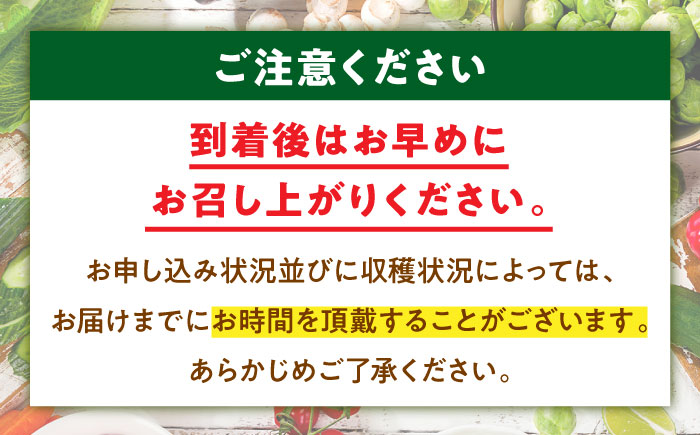 【全3回定期便】【2ヶ月に1回】あったら嬉しい根菜セット♪+おまかせ旬野菜　愛媛県大洲市/有限会社ヒロファミリーフーズ [AGBX041]