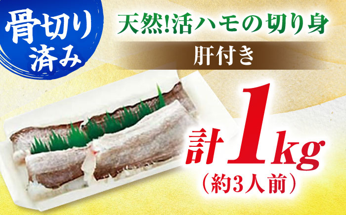 身から肝まですべて堪能！熟練の技で食べやすい！活きハモの骨切り 3人前（約1kg）　愛媛県大洲市/天然活魚　濱　屋 [AGBP004]ハモ 鱧 はも 炊き込みご飯 天ぷら てんぷら 塩焼き 蒲焼 新鮮 魚介類 海鮮