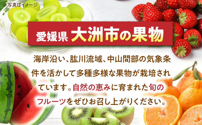 【先行予約】【2025年8月中旬から順次発送】シャインマスカット2kg（4から6房）愛媛県大洲市/有限会社ふじブドウ園 果物 くだもの フルーツ 葡萄 ぶどう マスカット [AGDB002]