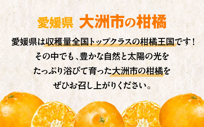 【贈答用】 早生みかん 3kg　愛媛県大洲市/有限会社西山青果 早生みかん 温州みかん みかん 果物 ギフト フルーツ [AGAR007]