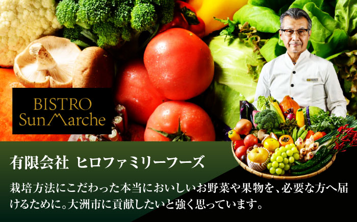 【全12回定期便】 【シェフの目線】　野菜 6から7種　単身・二人暮らし用セット　愛媛県大洲市/有限会社ヒロファミリーフーズ 野菜 やさい 少量セット 食べきり [AGBX046]